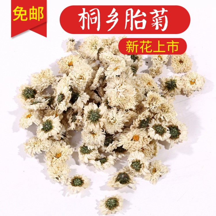 安徽特產(chǎn)黃山貢菊 散裝批發(fā)野生菊花 黃山桐鄉(xiāng)胎菊花茶批發(fā)