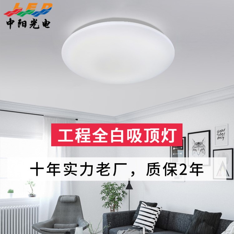 led吸顶灯 简约现代卧室灯 客厅灯灯具圆形全白 led吸顶灯跨境