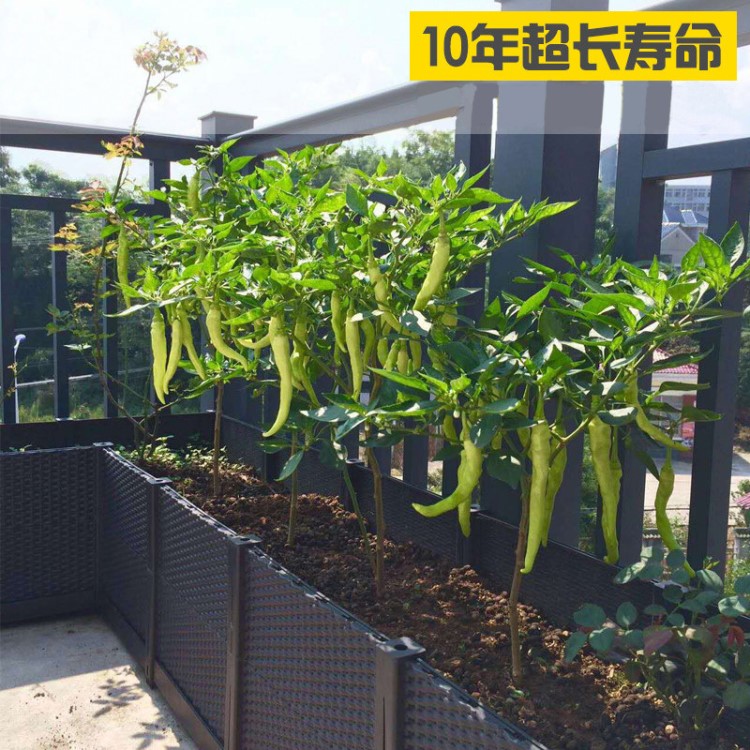 陽臺種植箱長方形種菜箱屋頂綠化組合式花箱特大塑料菜園花盆蔬菜