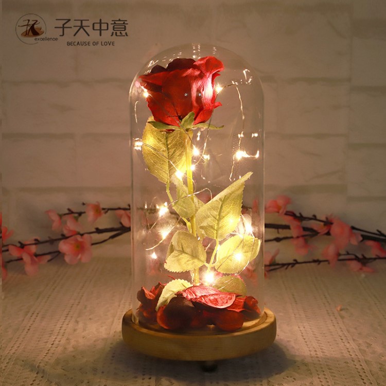 玻璃瓶 玫瑰花燈 母親節(jié)禮品 LED燈情人節(jié)生日禮物家居裝飾擺件