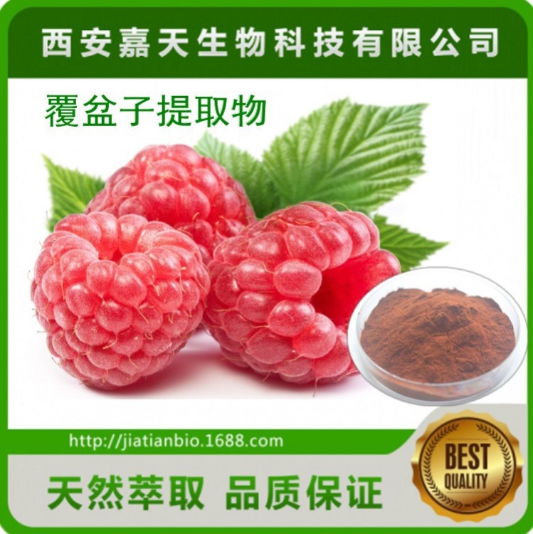 覆盆子提取物 天然覆盆子酮4% 樹莓提取物 覆盆子黃酮提取物