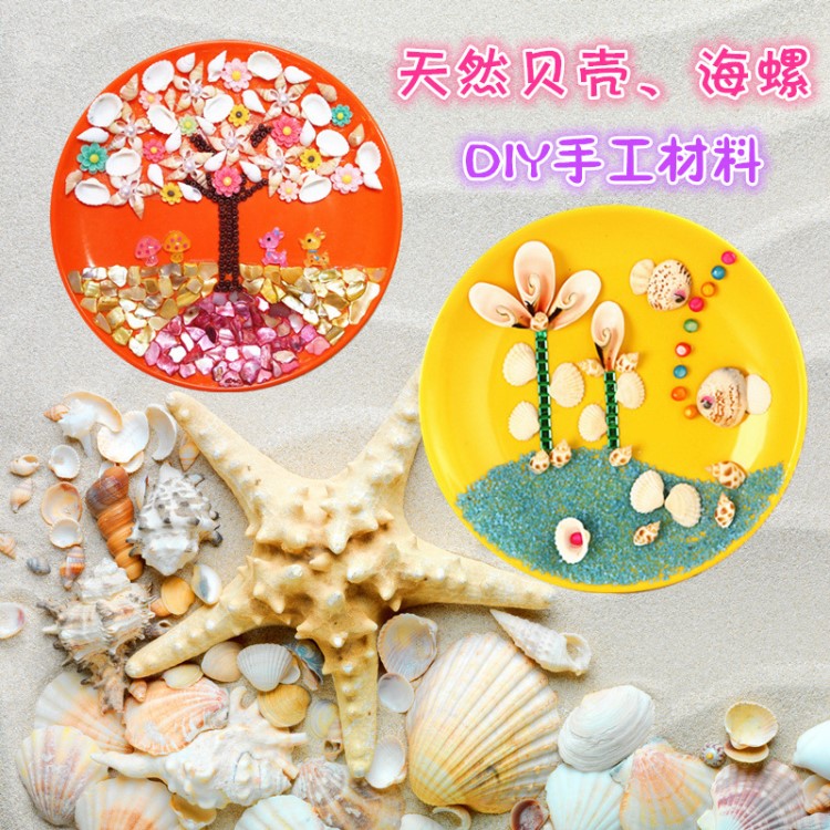 天然海螺貝殼diy手工材料配件美勞文教裝飾工具孔雀貝東風(fēng)螺扇貝