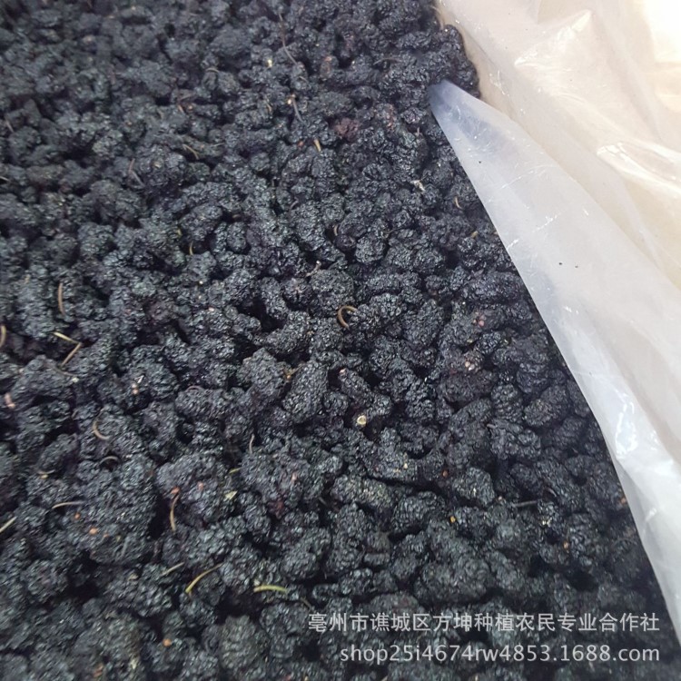 桑葚子批發(fā)散裝黑桑葚 桑葚干 花果茶 顆顆完整 藥食同源實圖拍攝