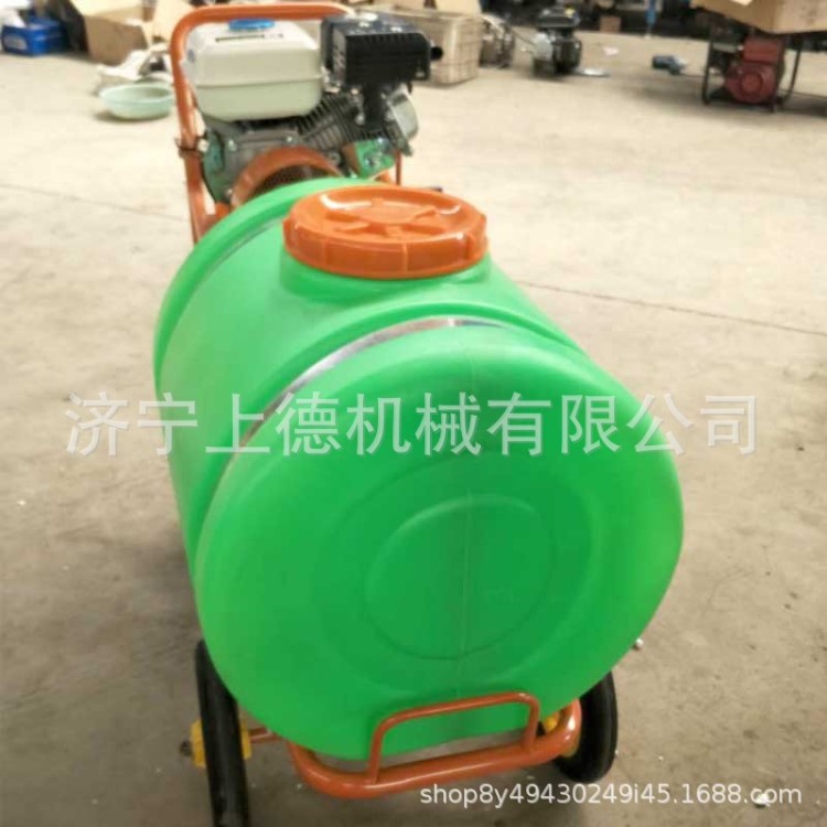 自走式手推打藥機(jī) 園林果樹(shù)農(nóng)用打藥機(jī) 手推汽油 果園風(fēng)送噴霧機(jī)
