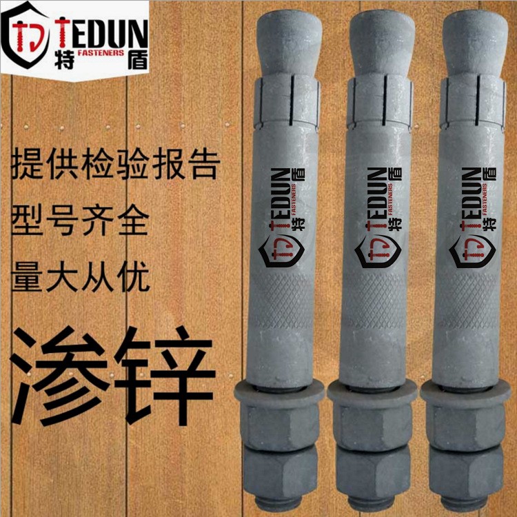 供應地鐵專用模擴底錨栓8.8級滲鋅機械錨栓m10*100特盾生產廠家