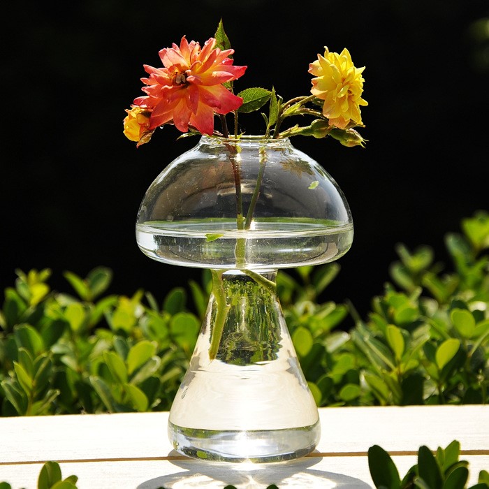 新款玻璃花瓶客廳擺飾品 歐美創意蘑菇花瓶裝飾 懸掛魚缸水培批發