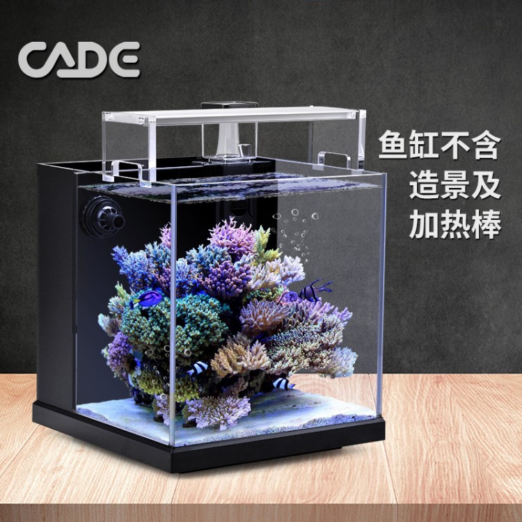 彩鰈 彩蝶CADE新款海水魚缸全白海水缸珊瑚魚缸水族箱背濾珊瑚缸