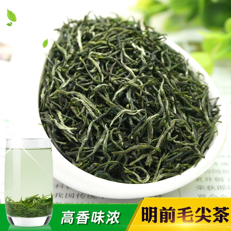 2019新茶 特级清明毛尖A 浓香野茶 信阳毛尖古丈毛尖散装茶叶批发