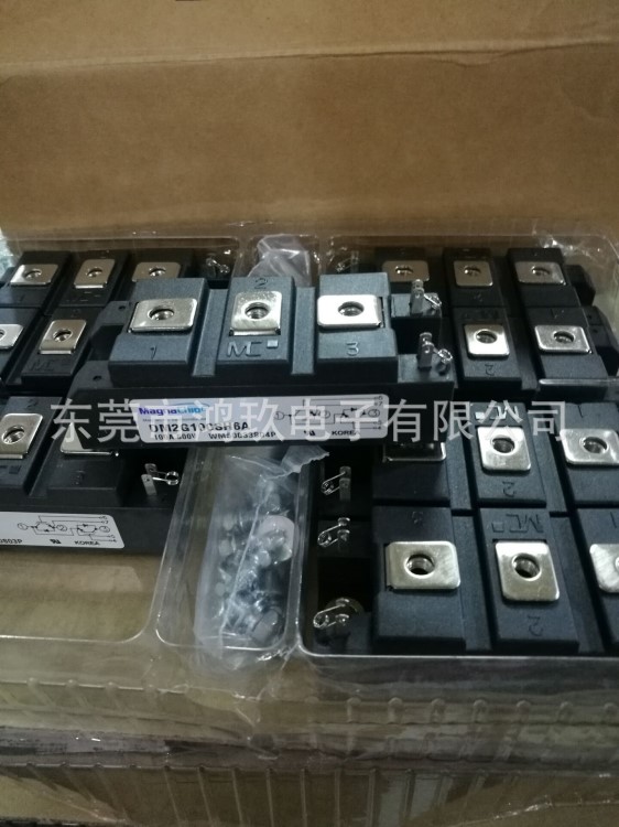 供 美格納IGBT  DM2G100SH6A   大衛(wèi)IGBT模塊