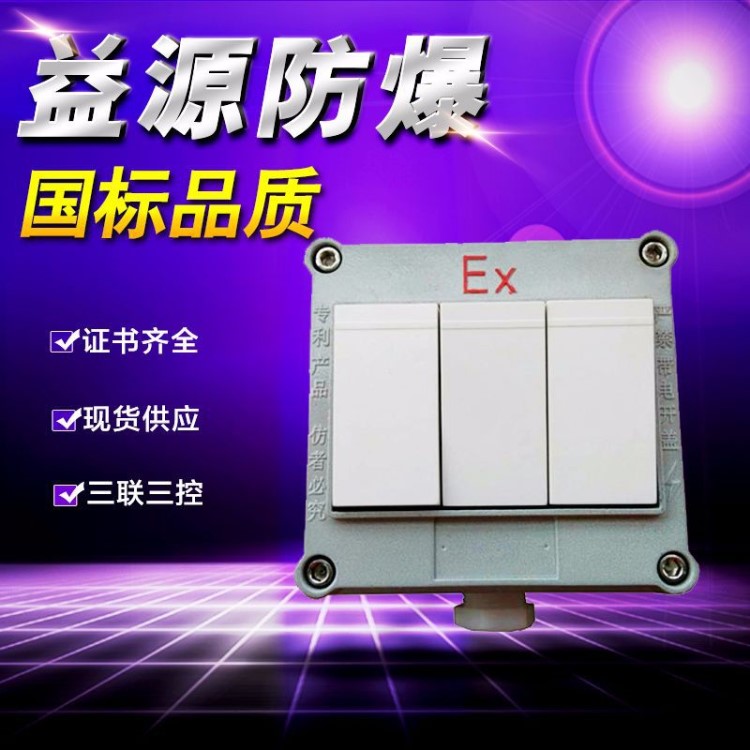 防爆开关220v10A 防爆照明墙壁开关 86型一开二联三开单双控工业