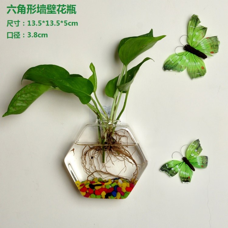 懸掛式墻壁花瓶 壁掛魚(yú)缸水培玻璃花瓶養(yǎng)花透明玻璃瓶家居裝飾品