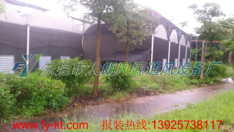臺山濕簾降溫