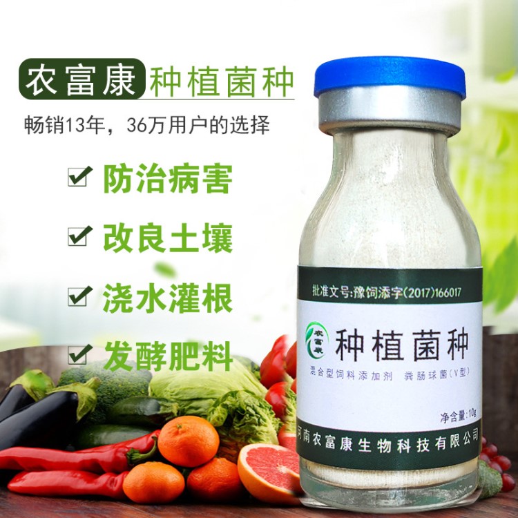 種植用em菌種種效果好 種植專用em菌種廠家直銷