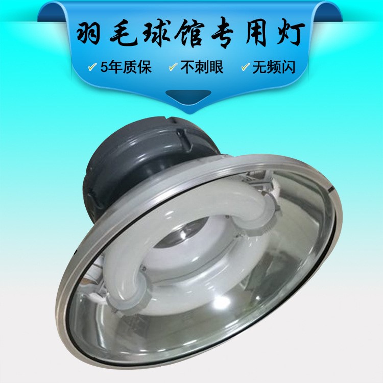 廠家直銷批發(fā) 無極羽毛球場燈光 200W不刺眼羽毛球場地?zé)艄?
                                                         style=