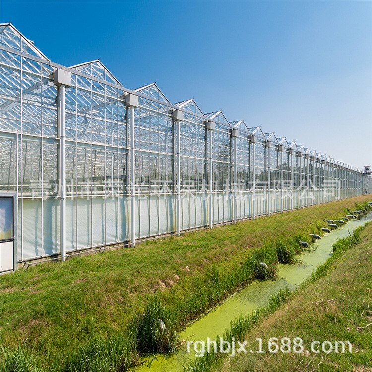 石家莊大棚溫室建設(shè) 花卉市場溫室大棚建設(shè) 花卉種植玻璃溫室承建