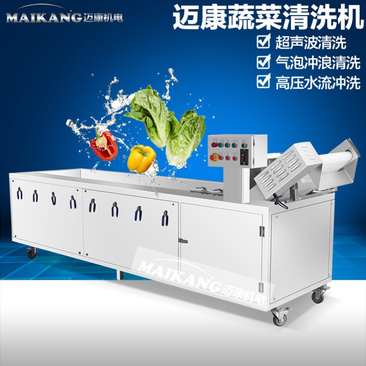 臭氧洗菜機(jī)  全自動(dòng)蔬菜清洗機(jī)流水線 罐頭加工成套設(shè)備