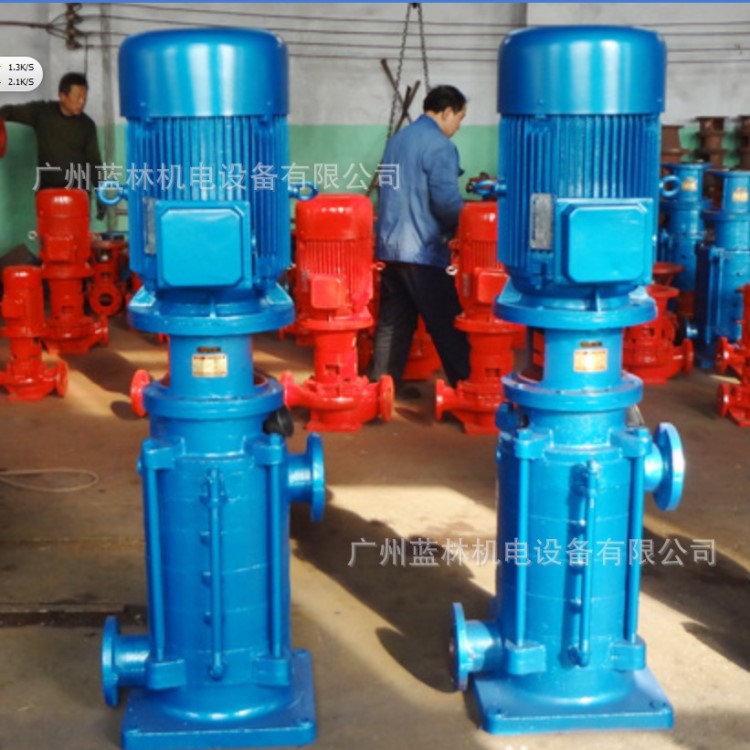 立式多級(jí)泵 100DL100-20x5立式多級(jí)消防泵 立式多級(jí)熱水泵