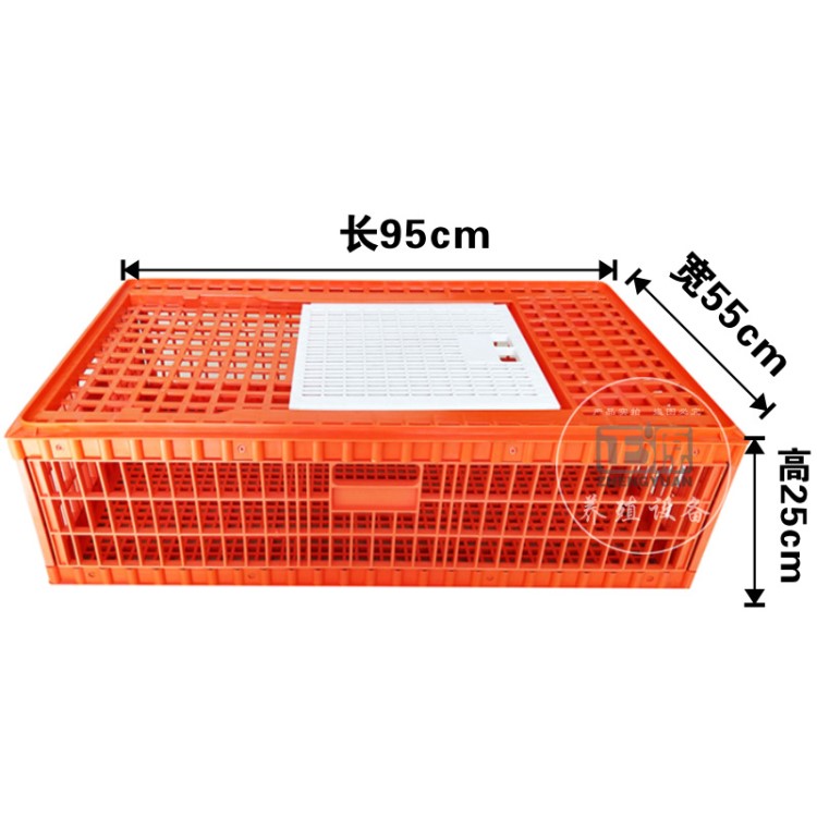 出口型雞用運輸籠 成雞周轉箱 成雞運輸籠 雞用周轉箱 大雞周轉箱
