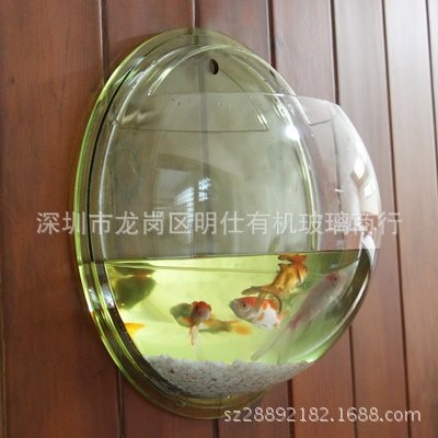 新款魚缸 亞克力工藝品 亞克力迷你魚缸 壁掛魚缸 亞克力裝飾魚缸