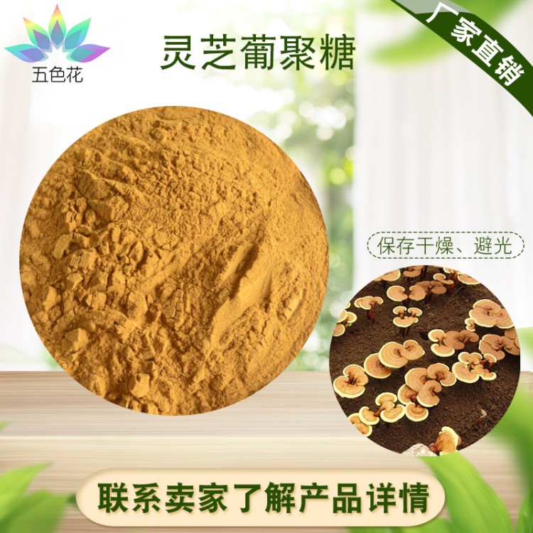 靈芝葡聚糖 30% 靈芝提取物 靈芝三萜2% 五色花供應(yīng)   現(xiàn)貨包郵