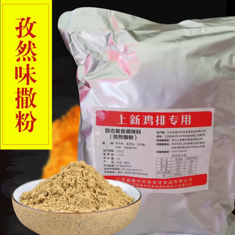 固態(tài)復合調(diào)味香料孜然撒粉香辣撒粉袋裝燒烤烹飪調(diào)料廠家批發(fā)