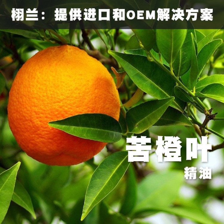 栩蘭 苦橙葉精油 Citrus Aurantium 單方精油 蒸餾 摩洛哥