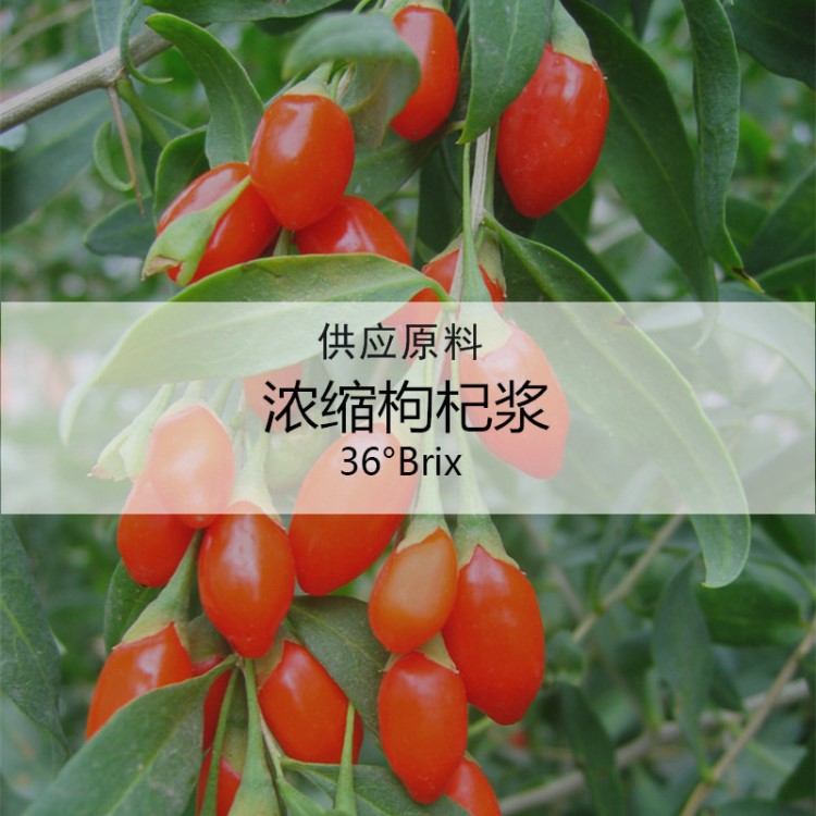 批發(fā) 果汁原料 紅棗枸杞汁 復(fù)合型原料   