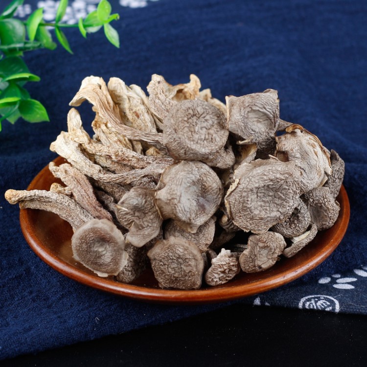 一級鹿茸菇500克云南特產野生菌 酒店特色食材散裝大貨 產地直供