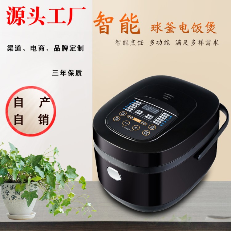 工廠直銷贈品5L智能電飯煲批發(fā)家用電飯鍋電器禮品支持一件代發(fā)