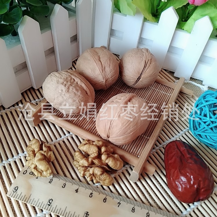 新疆特產(chǎn)紙皮核桃 薄皮核桃堅(jiān)果干果生核桃 零食散裝批發(fā)