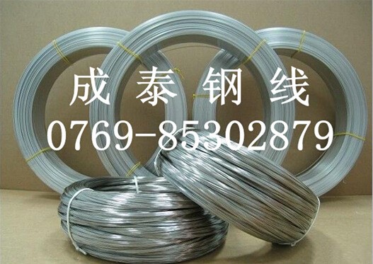 批發零售鍍鋅鋼線 鍍鎳鋼線 0.3mm鍍鎳彈簧鋼線 鍍鋅琴鋼絲