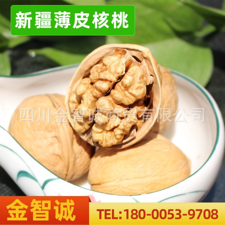 新貨 新疆薄皮核桃 特產(chǎn)阿克蘇紙皮核桃 跑江湖地?cái)偤颂遗l(fā) 堅(jiān)果