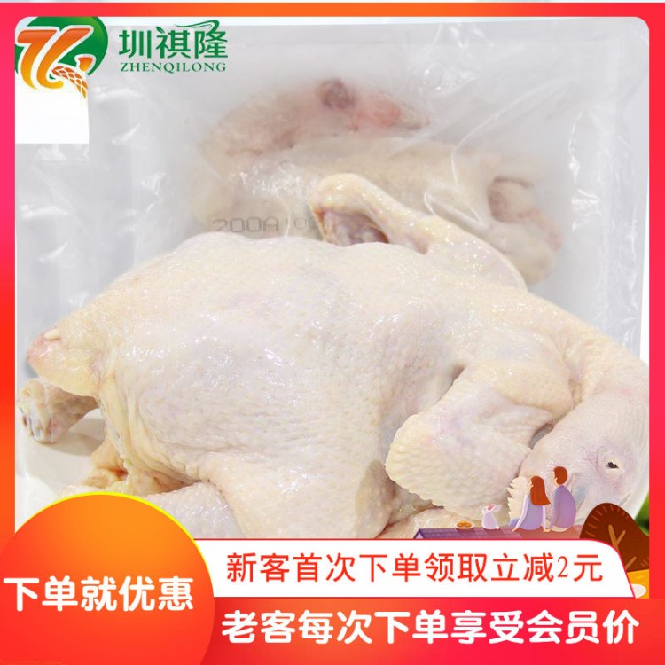 清遠(yuǎn)休眠雞山林散養(yǎng)雞農(nóng)家走地雞土雞150天年貨特產(chǎn)順豐免郵