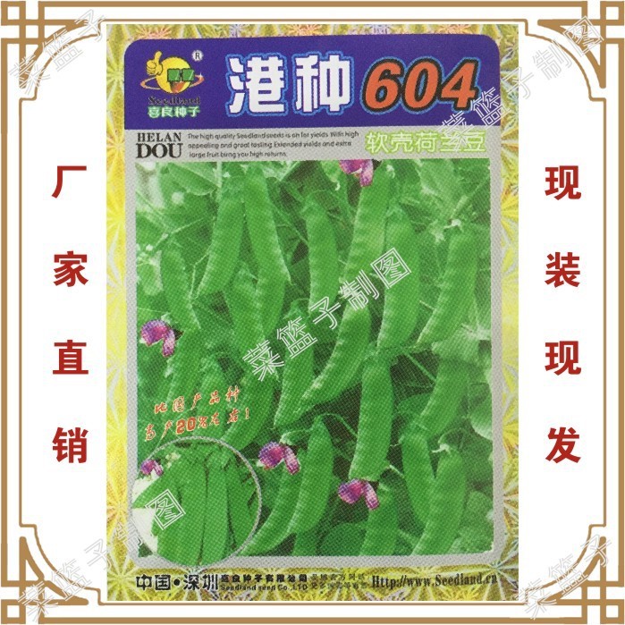 蔬菜種子批發(fā) 港種604軟殼荷蘭豆102-06  甜豆 大棚陽臺