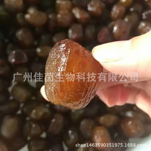 廠家供應(yīng)阿膠貢棗紅棗500g 金絲蜜棗獨立小包裝休閑食品 散