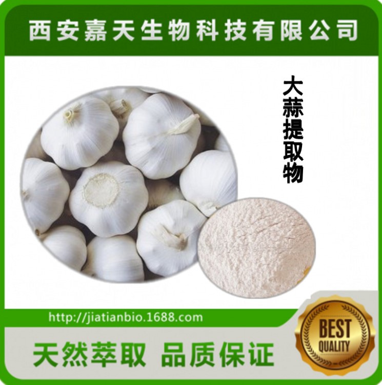 西安大蒜多糖40% 大蒜多糖提取物廠家 8008-99-9