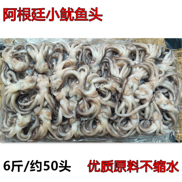 新鮮冷凍魷魚頭野生阿根廷魷魚須魷魚足魷魚串船凍小魷魚燒烤食材