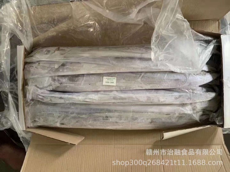 整箱 整條 鮮活冰鮮 冰凍帶魚 帶魚段 冷凍批發海產