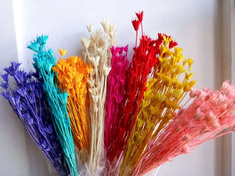 干花亮光劑  干花亮光油   工藝品提亮光油