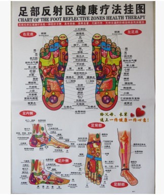 正版 足部反射區(qū) 掛圖 足部經絡穴位圖 足底 腿部按摩圖 足療圖