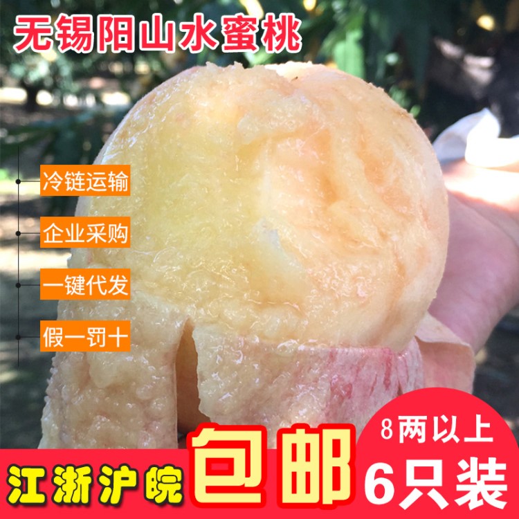 無錫陽山水蜜桃自產(chǎn)自銷汁多肉嫩6-12個(gè)新鮮裝時(shí)令鮮果現(xiàn)采現(xiàn)發(fā)