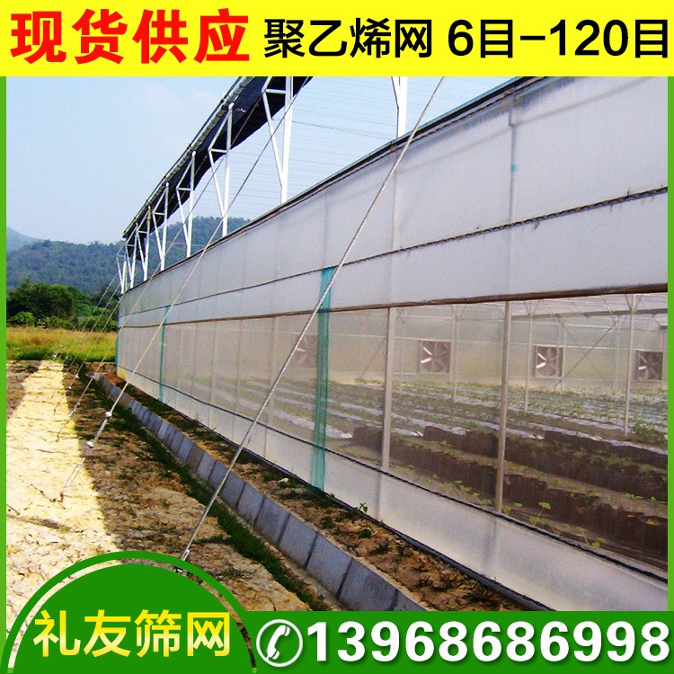 現貨供應6-120目聚乙烯防蟲網 水產養殖網 農用網  尼龍網