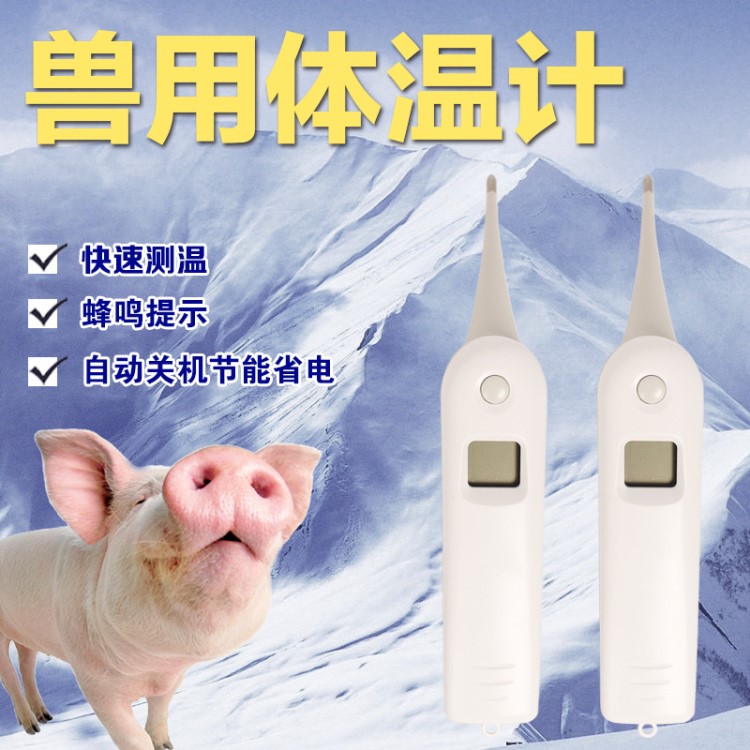 獸用電子體溫計(jì) 豬用電子溫度計(jì) 寵物貓狗電子體溫計(jì) 動(dòng)物肛溫表