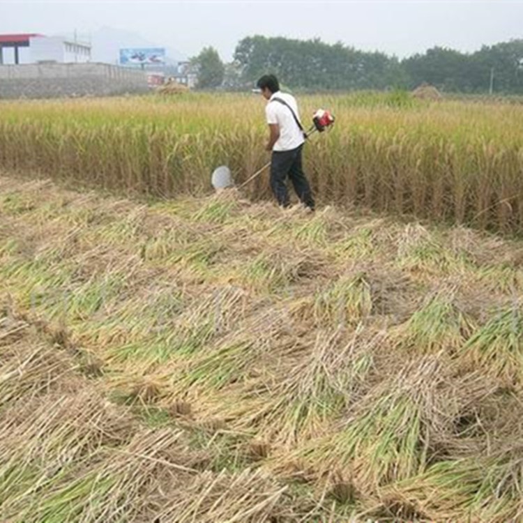 四小型背負(fù)式配件沖程除草機(jī)割草機(jī)扶草器扶稻器扶禾器水稻收割器