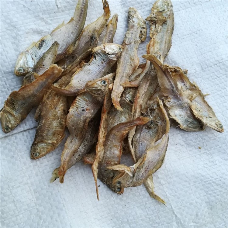 常年生產(chǎn)供應(yīng)飼料魚(yú)干飼料級(jí)脫脂熟魚(yú)干飼料魚(yú)干 高蛋白魚(yú)干