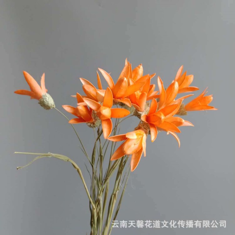 玉蘭花束 手工組合仿真干花裝飾百搭配花玉蘭 干花花束玉蘭小百合