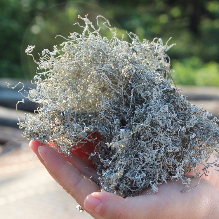 批發(fā)養(yǎng)生芽尖莓茶 茅巖莓茶張家界野生藤茶OEM代工貼牌茶葉