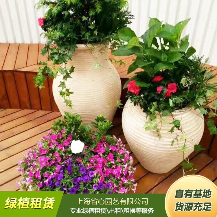 花卉组合植物租赁 私家花园绿化工程 省心园艺 施工养护