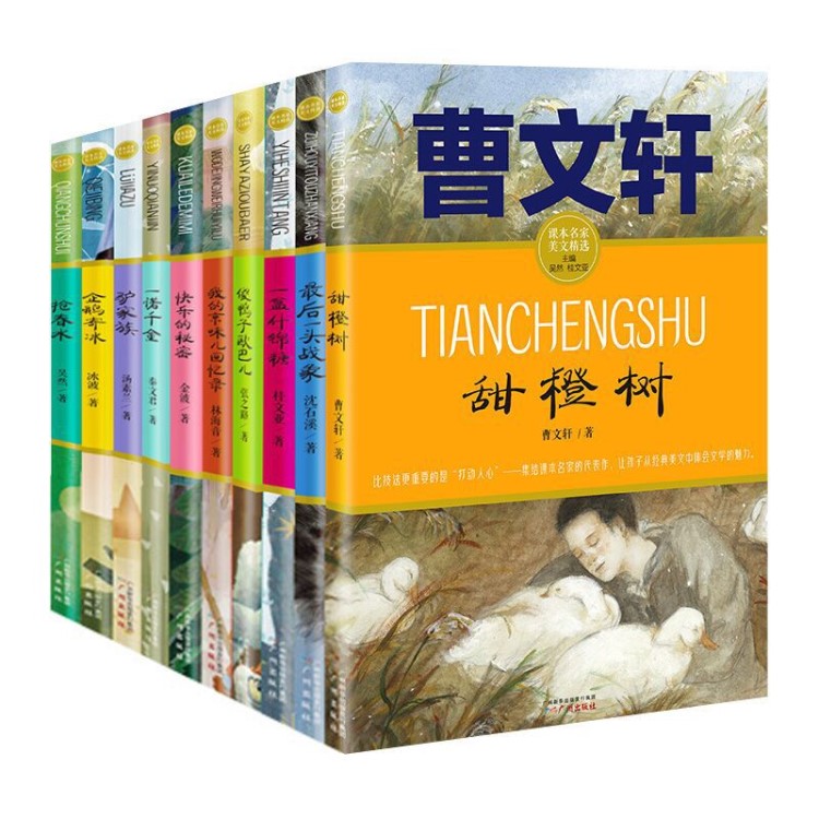 企鵝寄冰曹文軒名作10冊(cè)課本名家美文精選甜橙樹6-12歲閱讀書籍