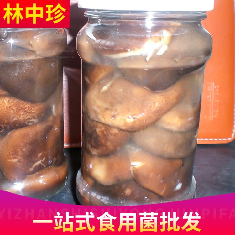 河南林中寶食品即食食用菌罐頭 現(xiàn)貨批發(fā)休閑食品香菇罐頭